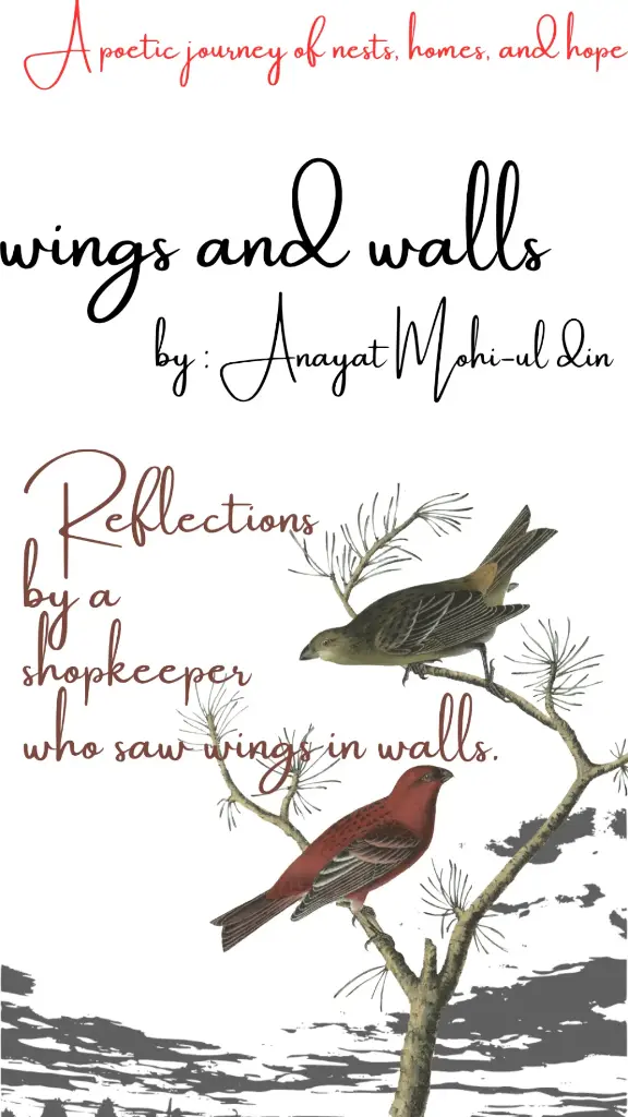 wings and walls